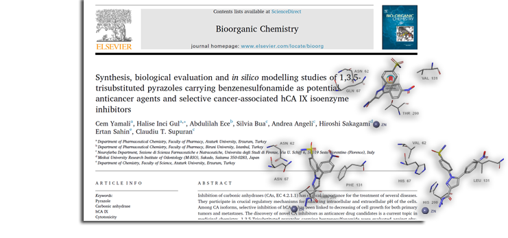 Bioorganic chemistry