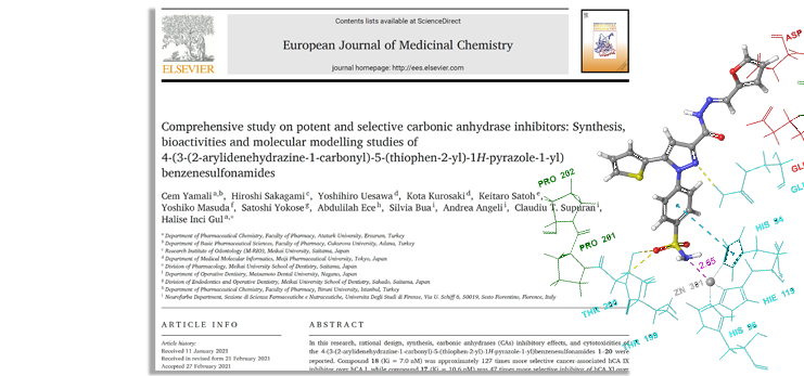 European Journal of Medicinal Chemistry