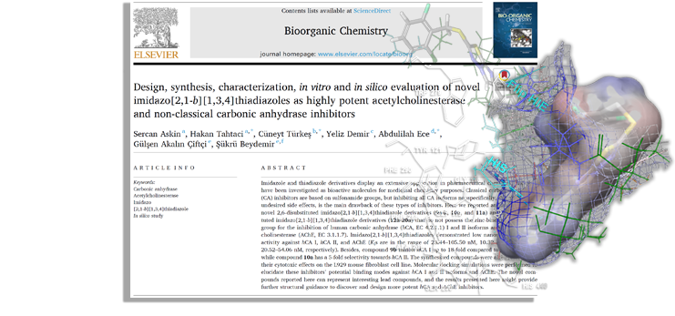 Bioorganic Chemistry