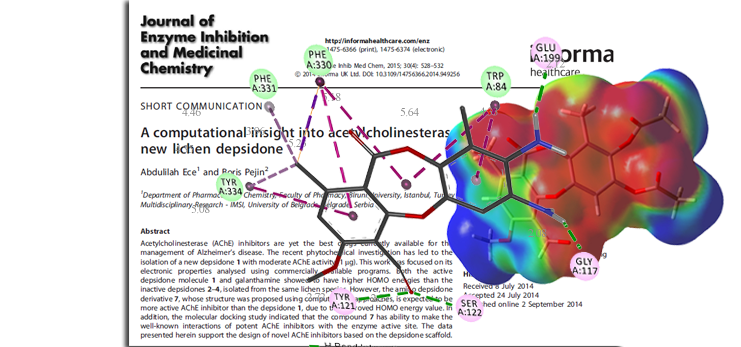 Journal of enzyme inhibition and medicinal chemistry