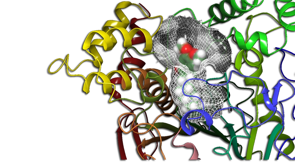 Hands-On Tranining Course on Computer Aided Drug Design